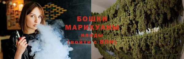 метадон Михайлов
