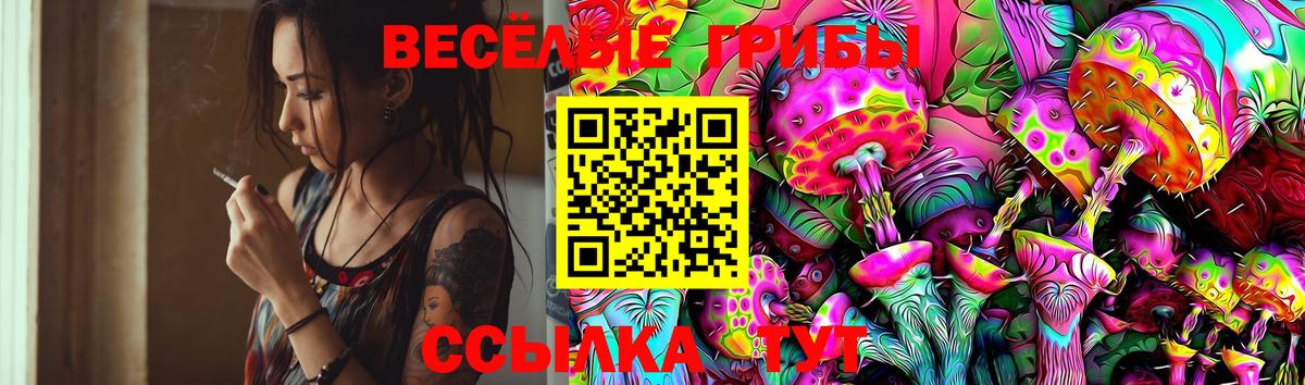 Уфа  Псилоцибиновые грибы Magic Shrooms  Вход с VPN  Псилоцибиновые грибы Psilocybe 